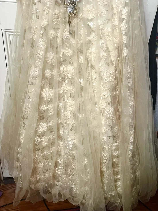 Embroidered Ivory Champagne Formal Gown - Picture 5 of 5